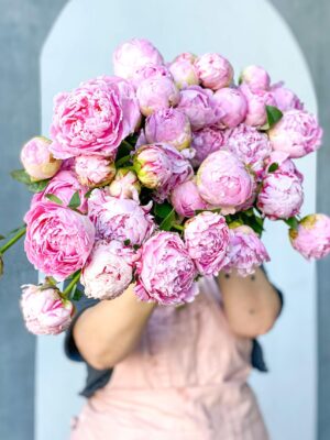 Peonies