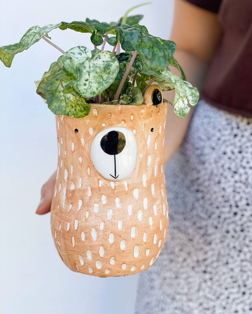 Bear Pot | Featured Image for the West End Landing Page For Poco Posy