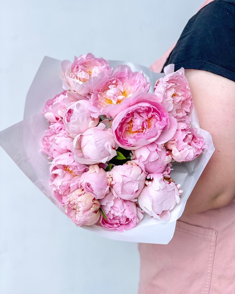 Pale Pink Peonies | Featured Image for the West End Landing Page For Poco Posy