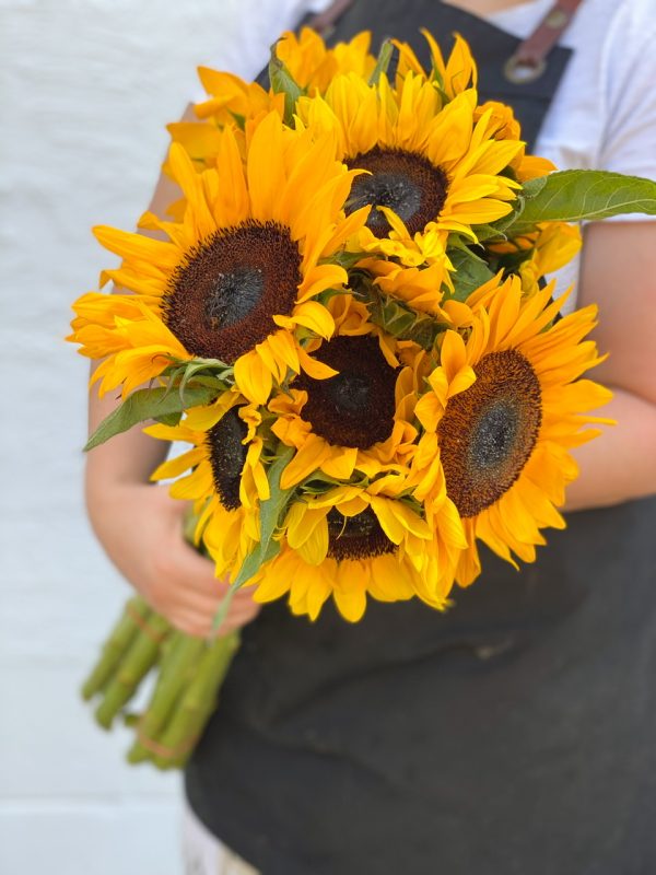 Sunflowers - Image 2