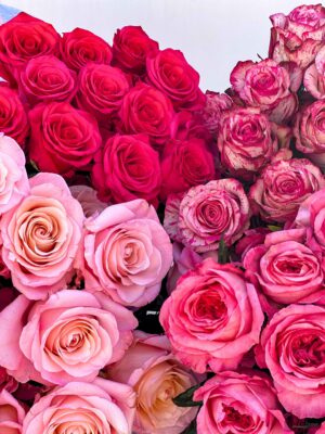 Send love with fresh rose delivery 🌹💌 – classic red, pretty pinks, or sunshine yellows, hand-arranged and delivered across Melbourne, Brisbane & beyond. Same-day delivery available!