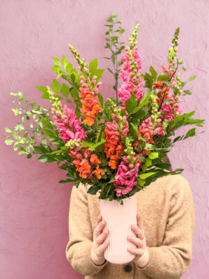 snapdragon flower bouquet, pink and orange vase flowers, fresh snapdragons, floral gift with vase, modern flower arrangement, blush vase flowers.