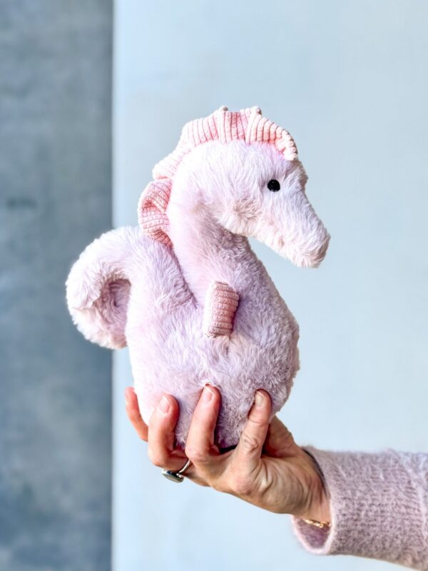 Selina the Seahorse