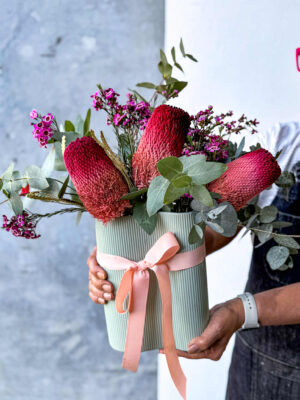 Cotton Candy Banksias