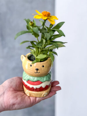 Cheeseburger the Cat