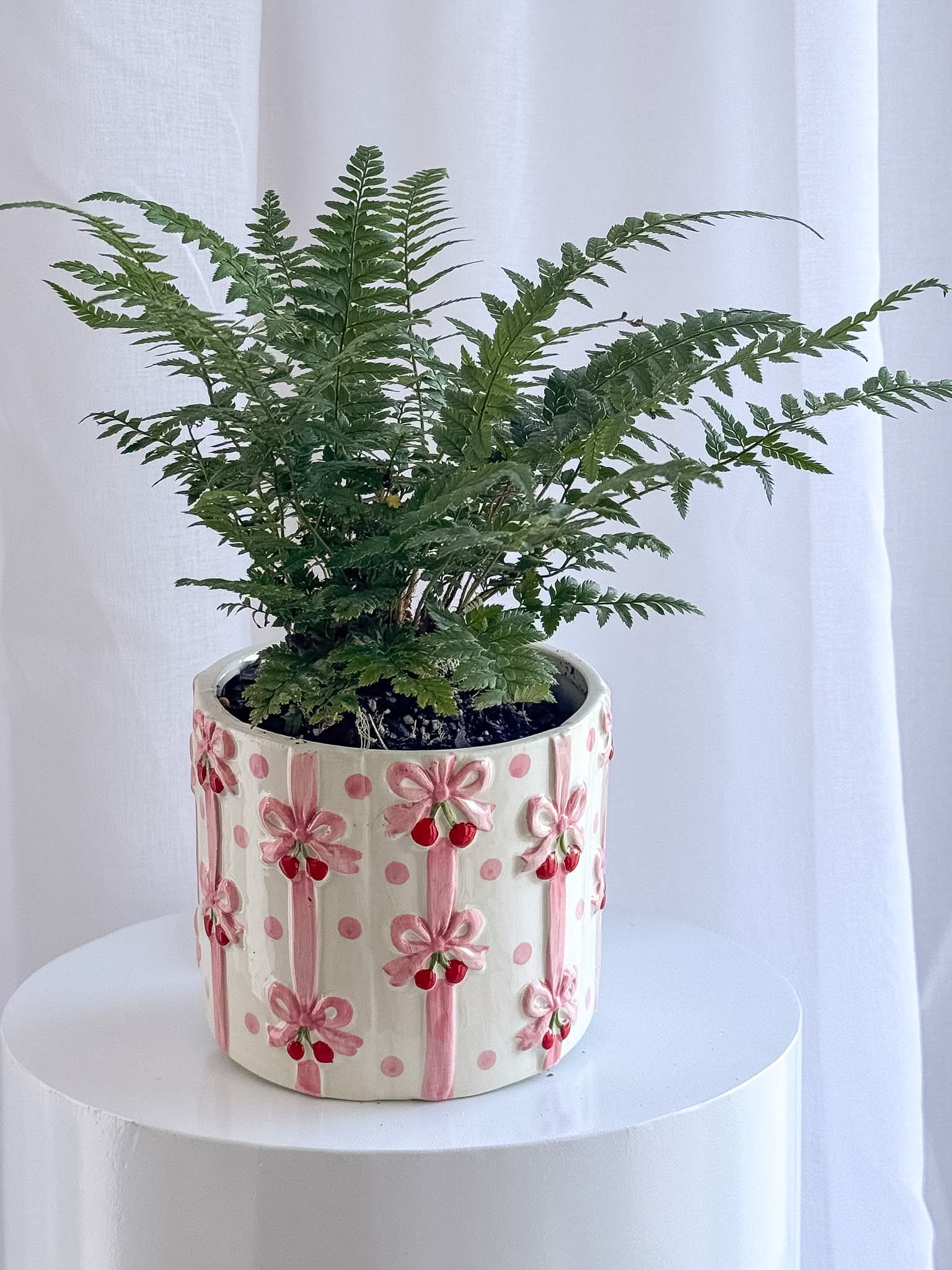Poco Pot - Image 6