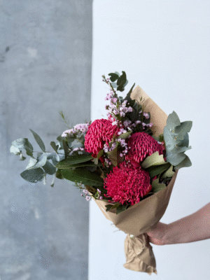Waratah Posy