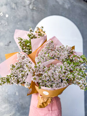 Waxflower Posy