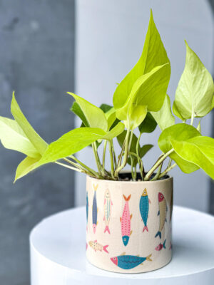 Under the Sea Poco Pot