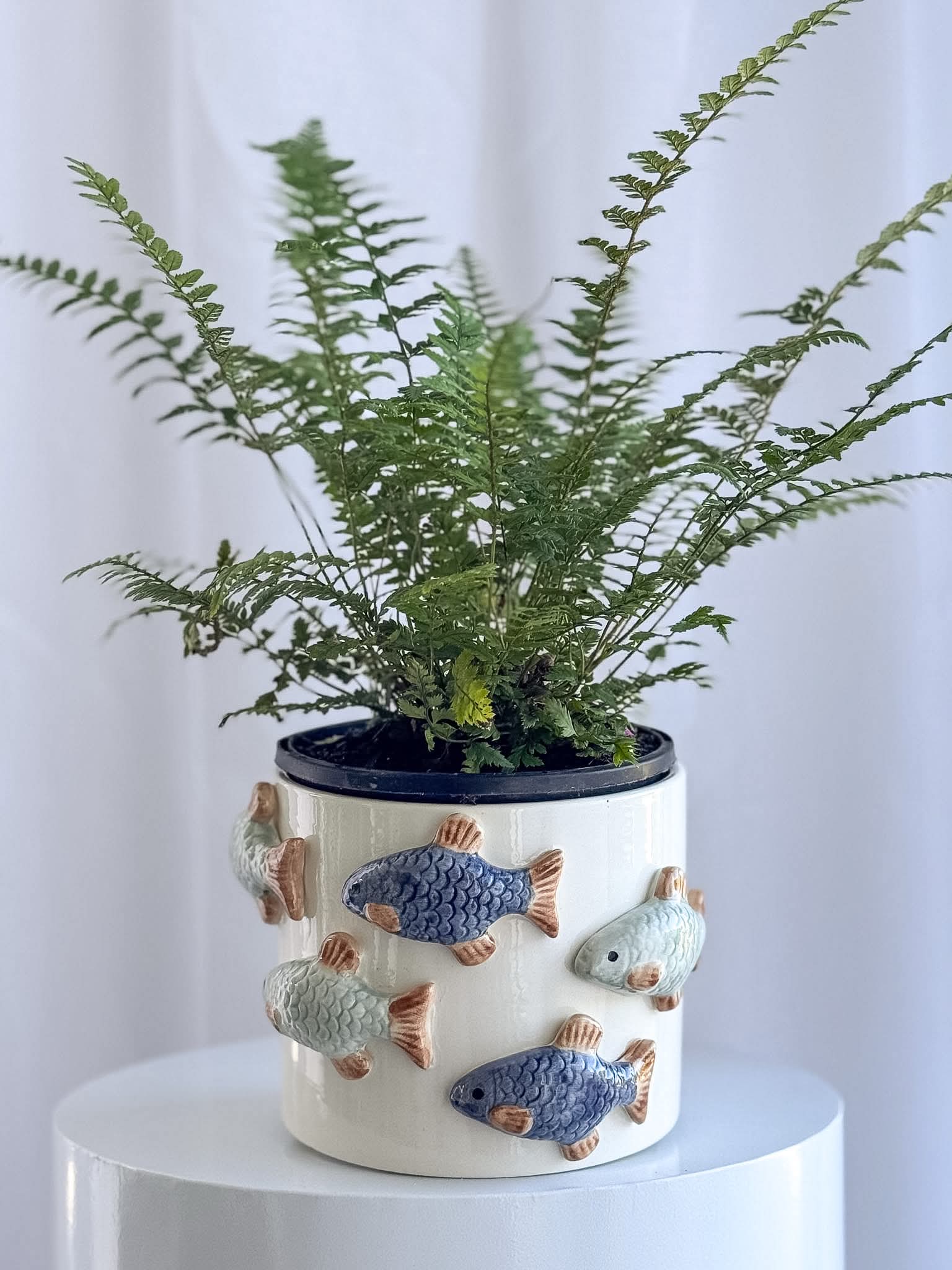 Poco Pot - Image 7