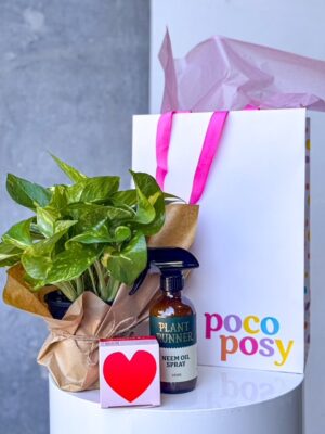 Poco's Plant Pack