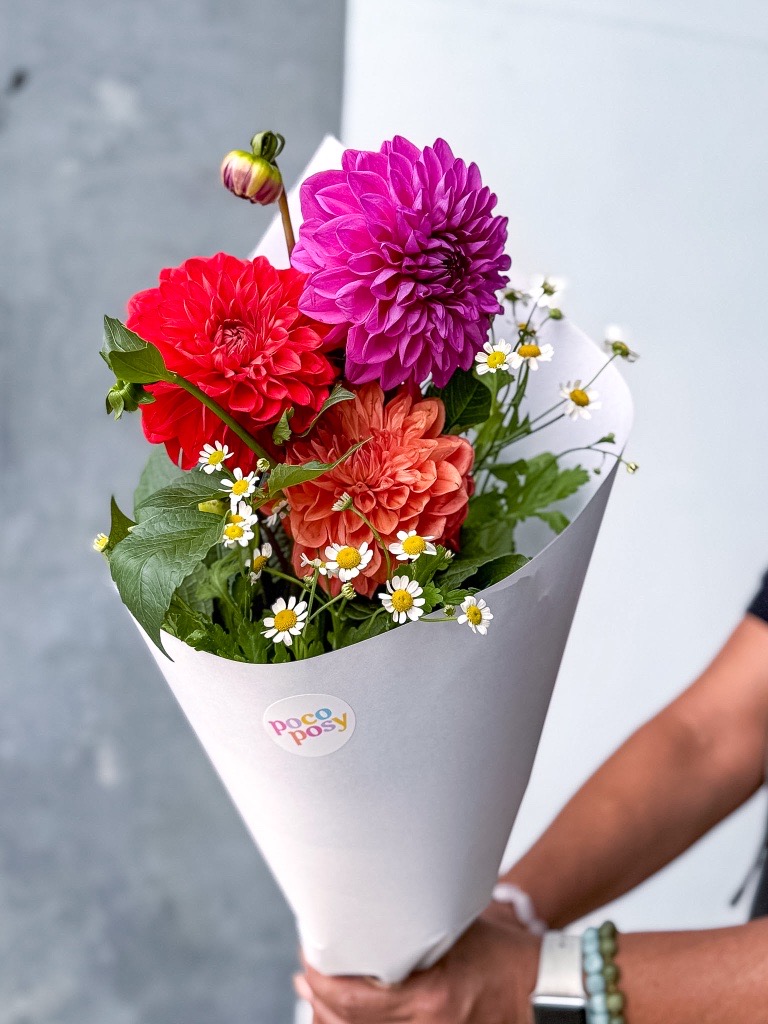 Easter Dahlias - Image 2