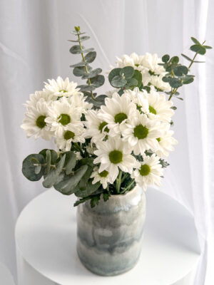 Daisy Delight
