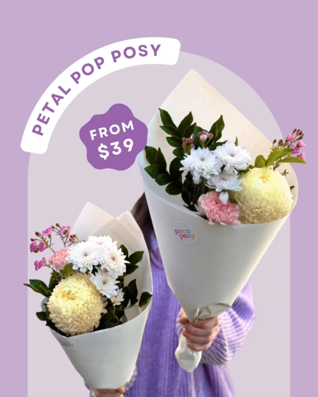 This weeks Petal Pop Posy - small in size, big on cheer 💐
It’s the pocket rocket of posies...sweet, joyful and easy on the wallet 😉

Order now 💖

#pocoposy #sendflowers #instaflowers #bouquetlove #floweraddict  #flowerpower #localflorist #brisbaneblooms #melbourneblooms #flowerdeliverybrisbane #flowerdeliverymelbourne #bouquetdelivery #BirthdayFlowers