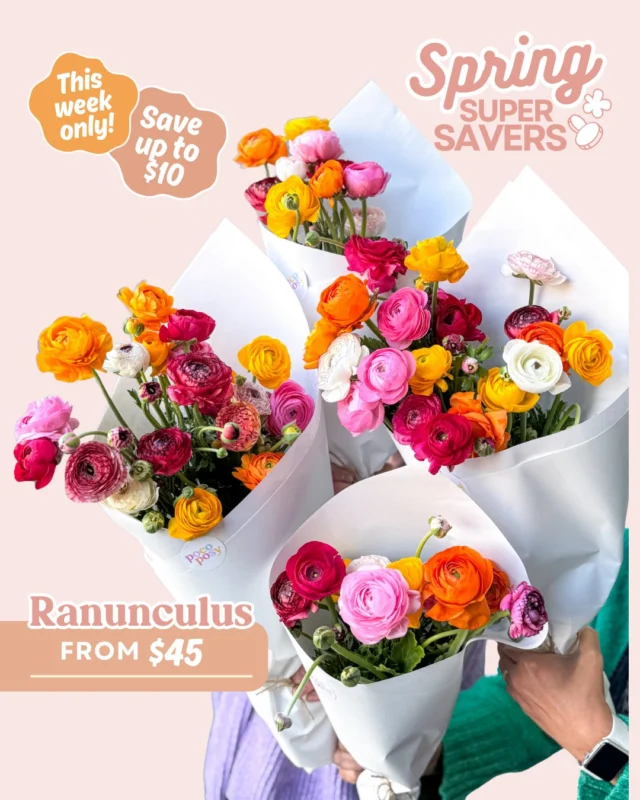 This is your LAST chance to get our Ranunculus Posies for $45! Don't hesitate 👋🏻