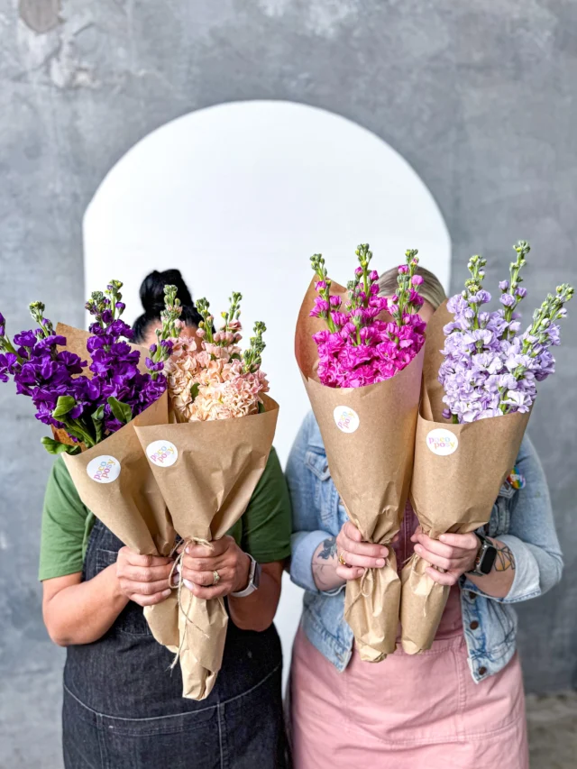 SURELY you’re sick of us posting about our Spring Savers… 	but we’re not gonna stop now😉 💜
Meet Stocks. They’re soft, fragrant, and a bloomin’ bargain from just $39 😍

Here for a good time, not a long time…so be quick!