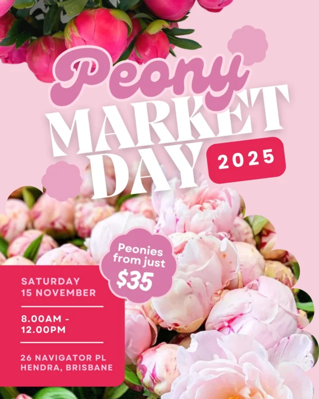 Peony lovers, your favourite day is back! 🌸

Peony Market Day returns on Saturday 15 November, and it’s set to be bloomin’ beautiful. 💗

Grab your bunch of fresh, fluffy peonies from just $35, straight from the market to our Hendra studio.

These stunners fly out the door every year, so set your alarm and grab your besties for some petal goodness.

🌸 Saturday 15 November
🌸 8am – 12noon
🌸 26 Navigator Place, Hendra