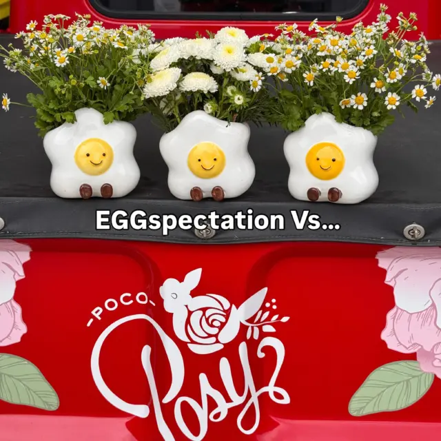 Eggies are running out the door you guys!!! Meg the Egg is one of our new faves and we’re SO glad you like her toooo!!!!

Your orders won’t have little pens up there 🍑 tho, that’s just part of the BTS here at Poco!!! 😂

🚗 Same-Day Delivery til’ 2:30pm
💐 Fresh flowers
☺️ Sure to bring a smile!!!

#melbourneflorist #brisbaneflorist